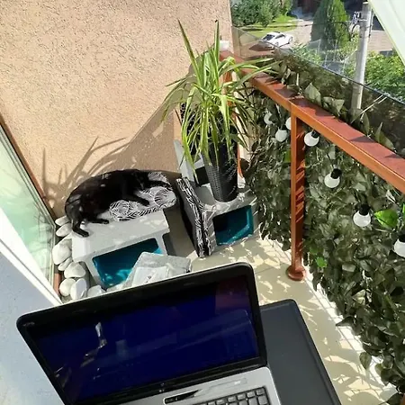 Rum i privatbostad Bedroom+bathroom+balcony In Horea's Funkadelic Eclectic Cluj-Napoca